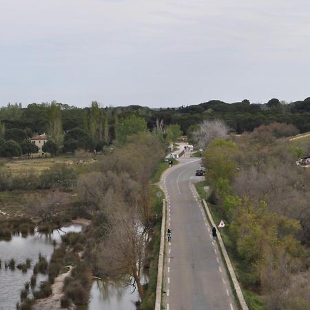 Vacances En Camargue Proche De La Mer Climatise Aigues-Mortes Exterior photo