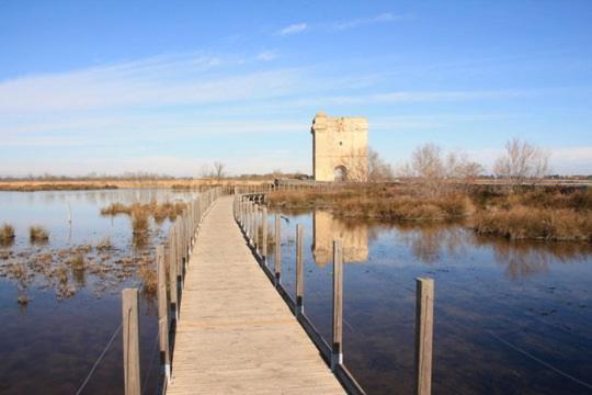 Vacances En Camargue Proche De La Mer Climatise Aigues-Mortes Exterior photo