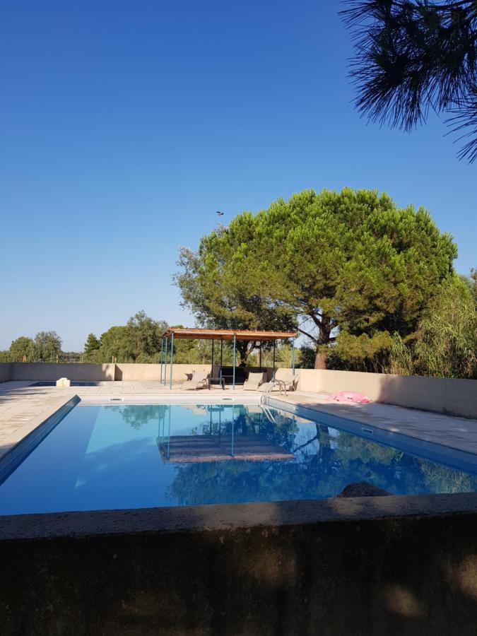 Vacances En Camargue Proche De La Mer Climatise Aigues-Mortes Exterior photo