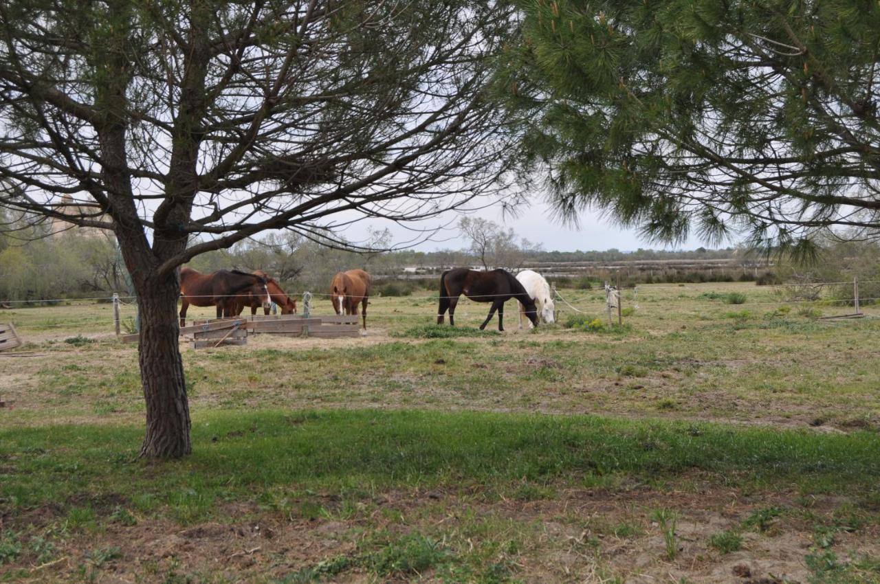 Vacances En Camargue Proche De La Mer Climatise Aigues-Mortes Exterior photo